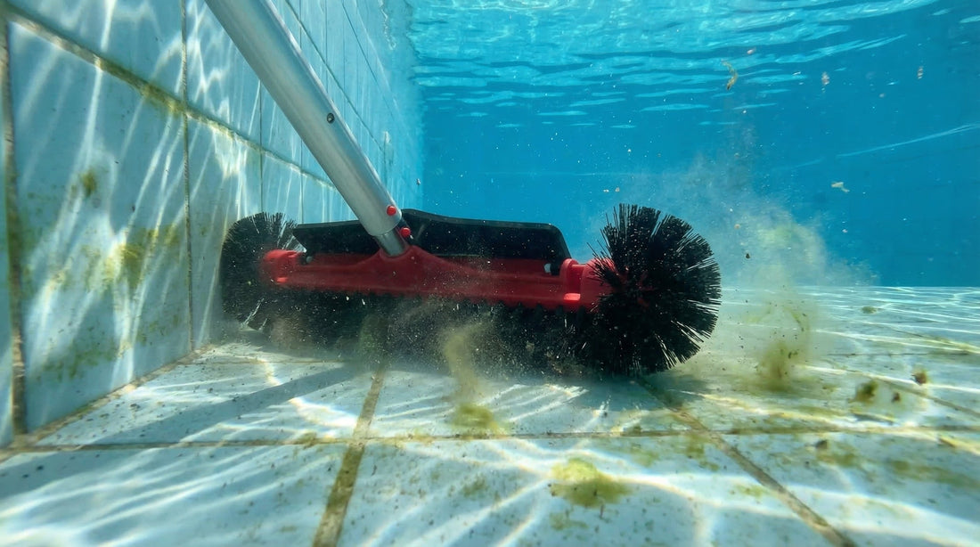 My Pool Turned Green Overnight! How to Fix Your Green Pool Fast