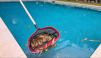 Complete Pool Cleaning Kit -  15ft Pole, Vacuum, Brush, 3 Rubber Edge Nets, Water Testing Strips
